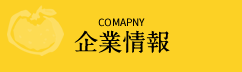 企業情報